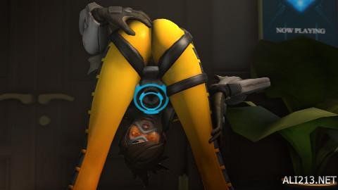 的篮球运动 的篮球运动