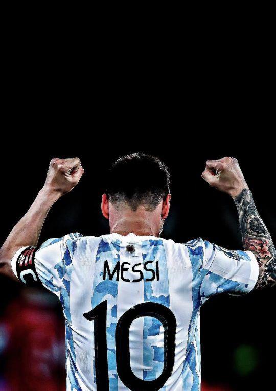 球迷基础 球迷基础