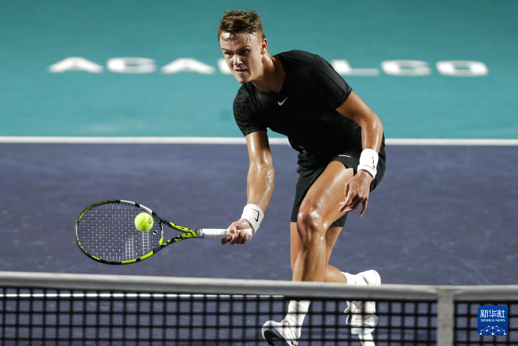 的组织能力 的组织能力